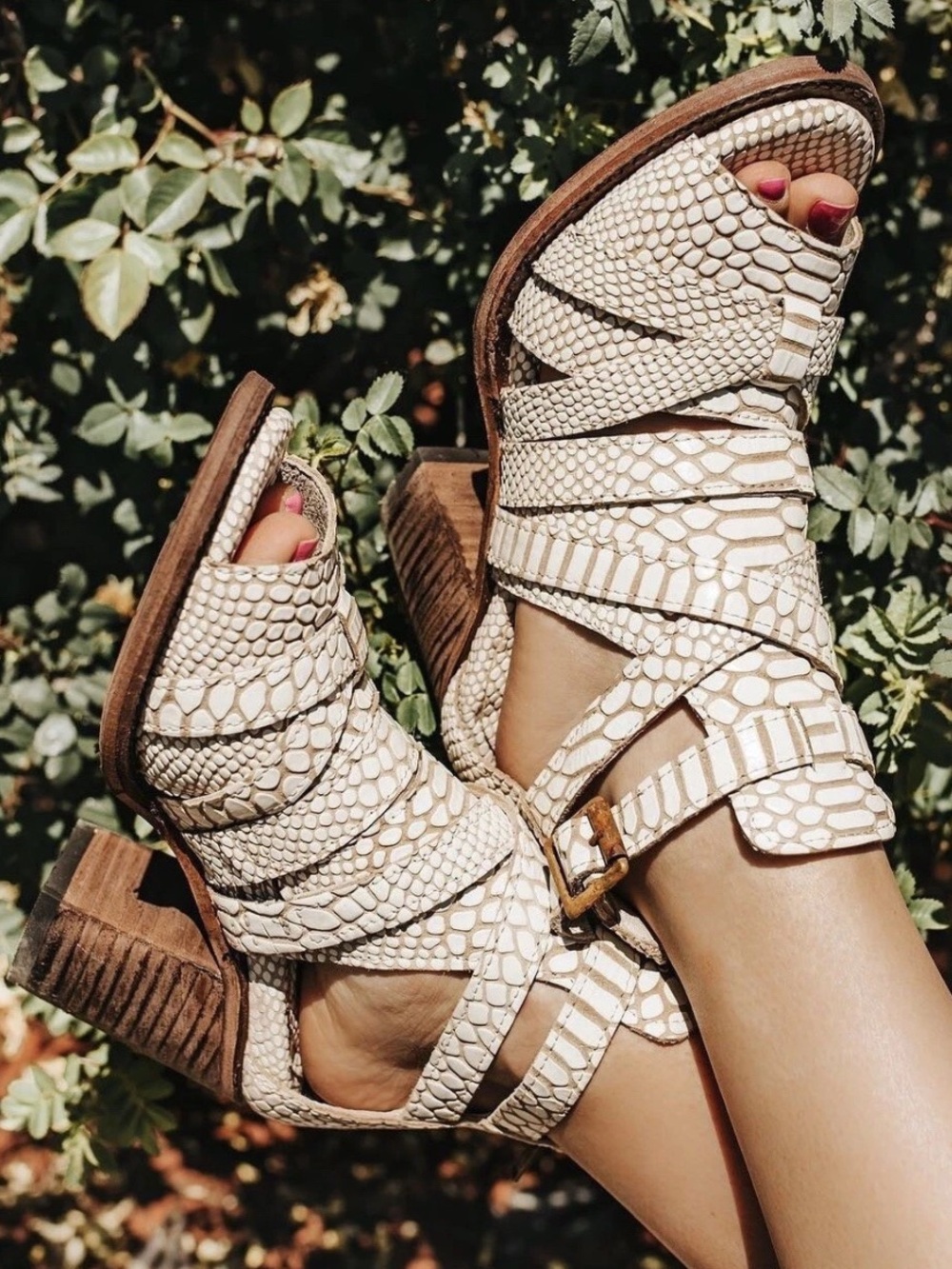 NEW Freebird by Steven Rare Claw Python Snake Heel Sandals Strappy Cream Size 9
